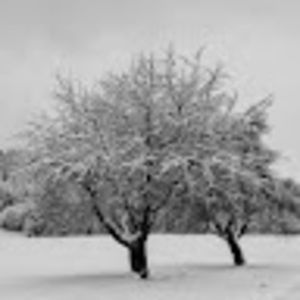 Meet your Posher, Alessia